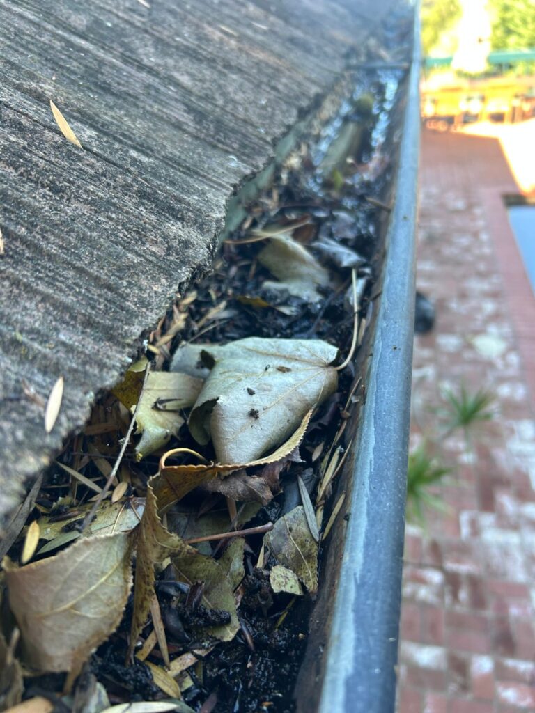 Debris filled gutter before cleaning