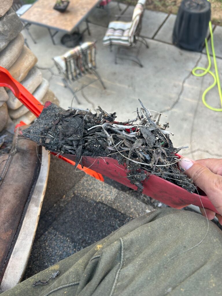 Scooping out leaves and debris