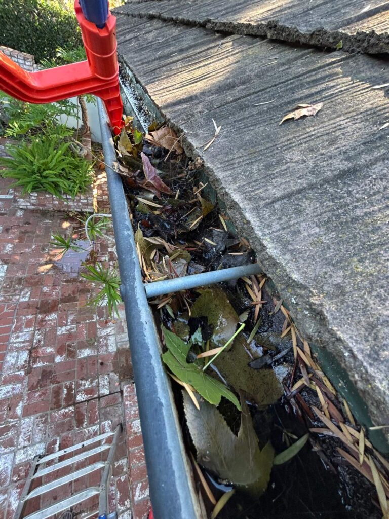 Scooping wet leaves out of a gutter in San Diego