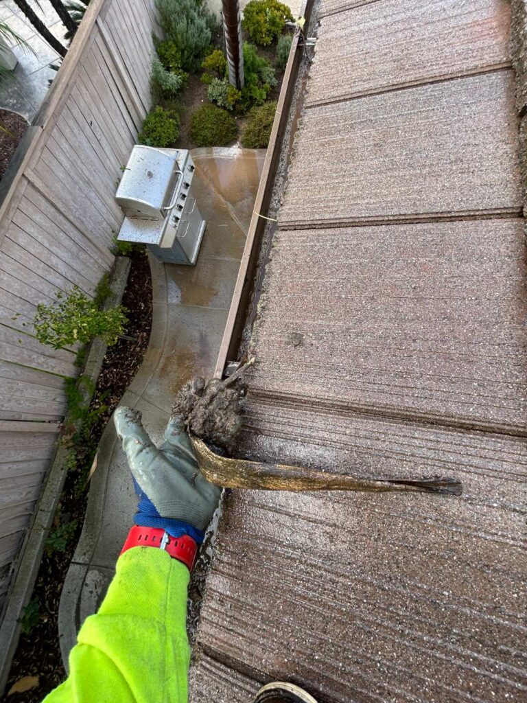Gutter full of debris before cleaning