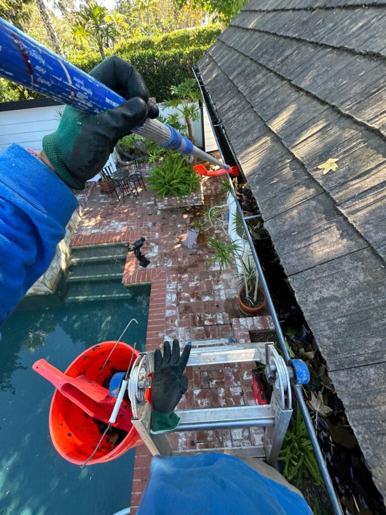 Gutter debris collected in a bucket during cleaning in San Diego