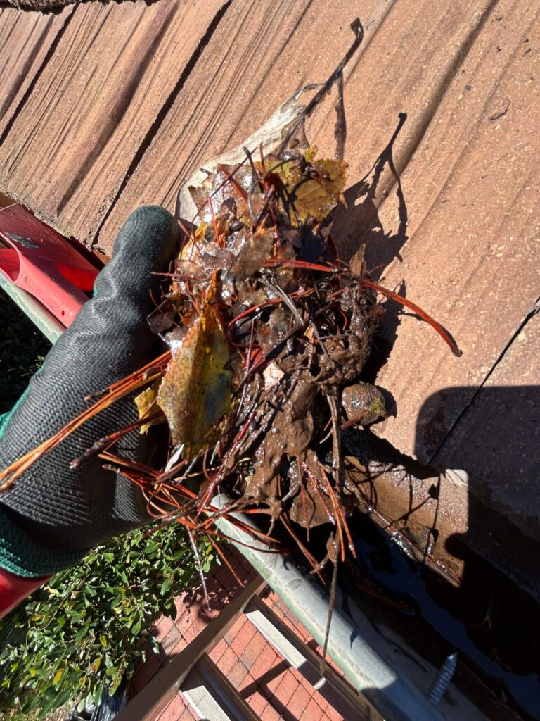 Gutter debris removed by hand during a gutter cleaning in San Diego