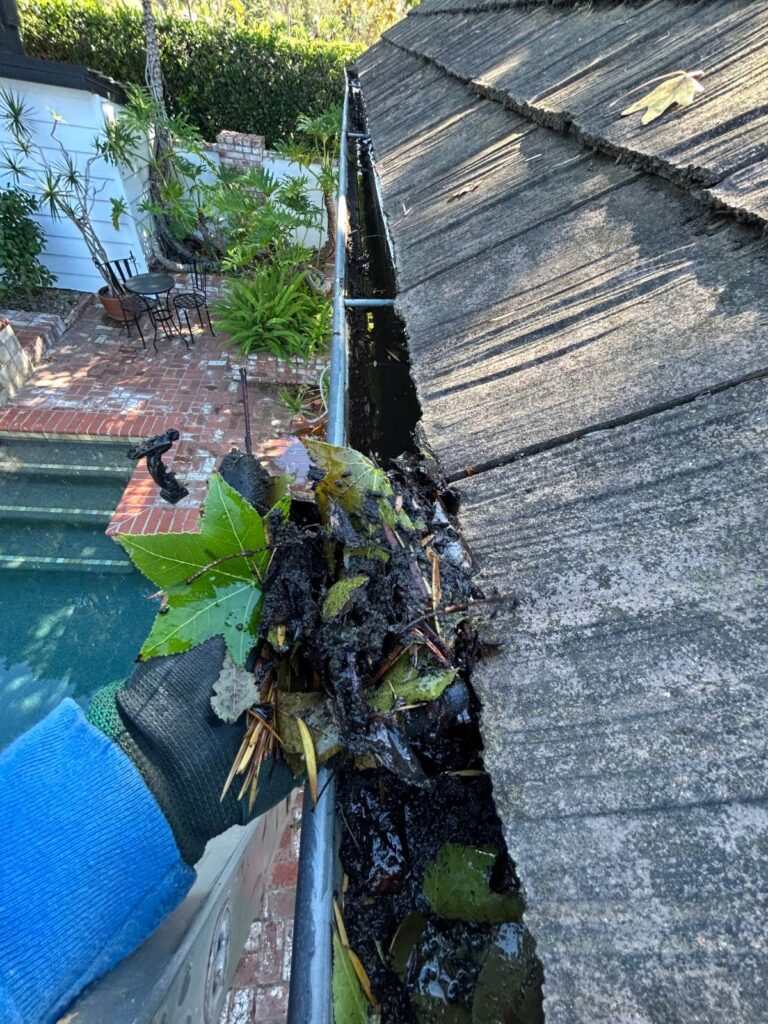 Leaf removal from gutters on a poolside home in San Diego