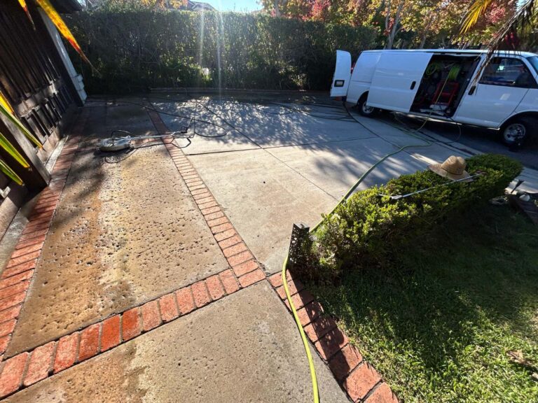 Brick paver patio, half cleaned