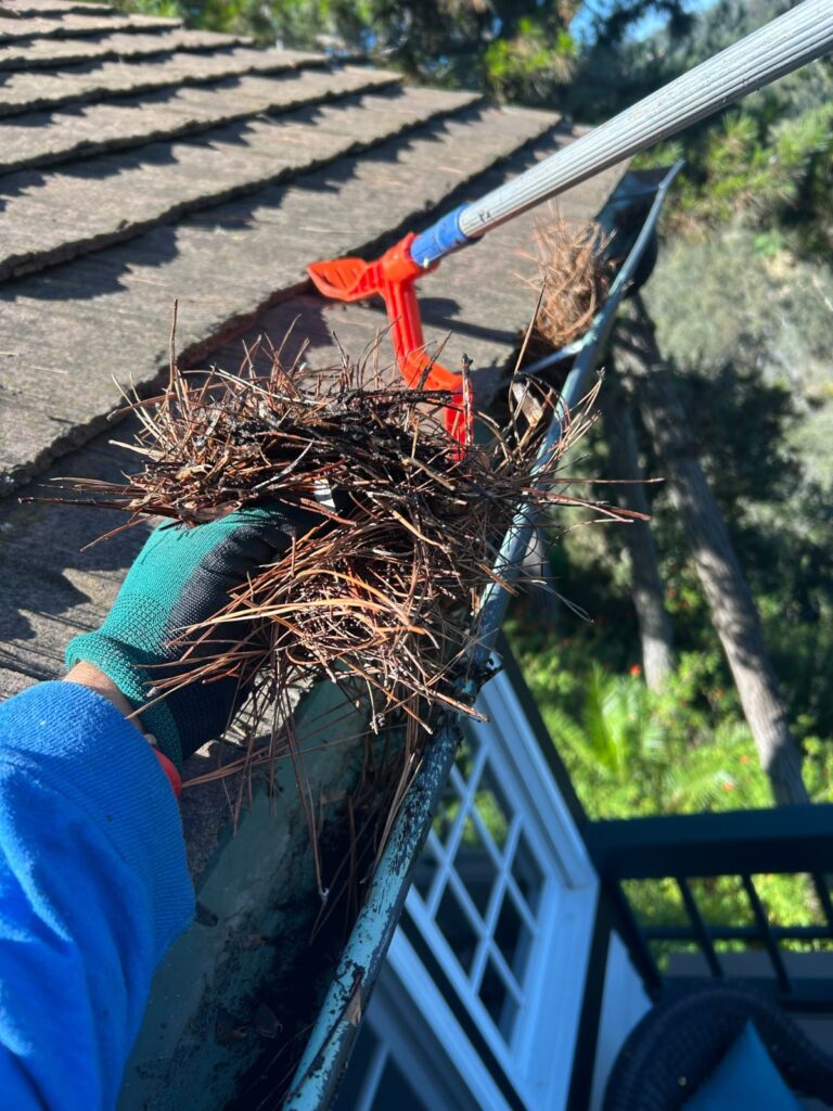 Pine needles removed from a gutter in San Diego